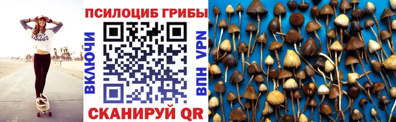 Галлюциногенные грибы Psilocybine cubensis Артёмовск